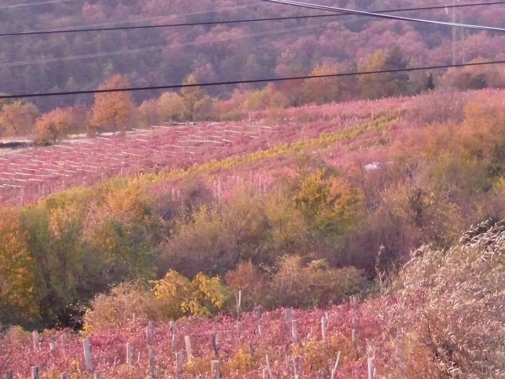 Rozina Vacation House Pliskovica Exteriör bild