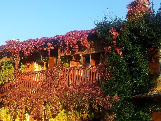 Rozina Vacation House Pliskovica Exteriör bild